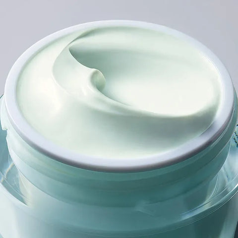 DayWear Moisturizer Multi-Protection Anti-Oxidant 24H‑Moisture Creme SPF 15  - 1.7 oz. Normal/Combination